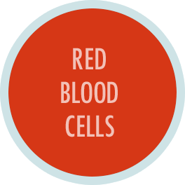 Red Blood Cells