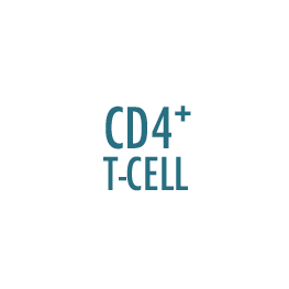 CD4+ T-Cell